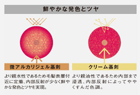 鮮やかな発色とツヤ